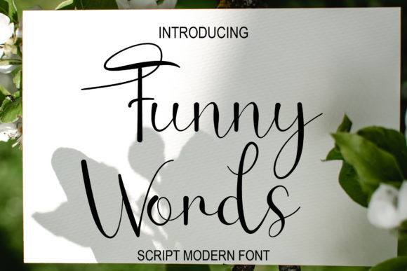 Funny Words: A Delicate Script Font for Elegant Branding