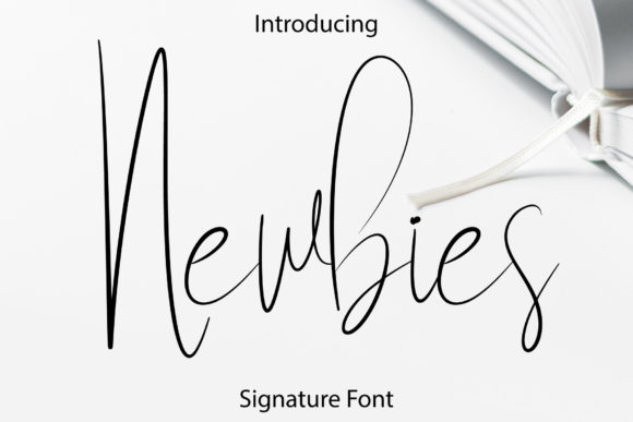 Newbies: A Delicate Script Font for Editorial Design