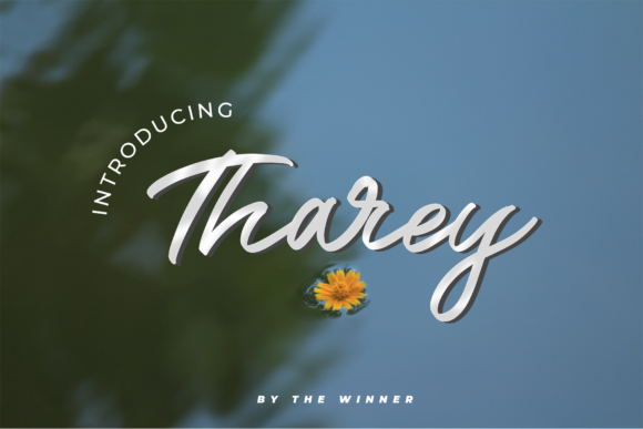 Tharey: A Script Font for Scroll-Stopping Content